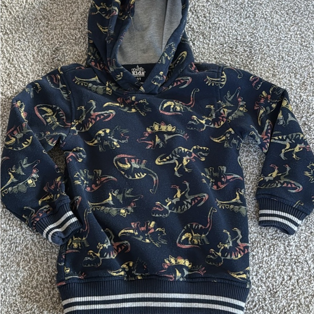 Dino Print Navy Hoodie for Kids